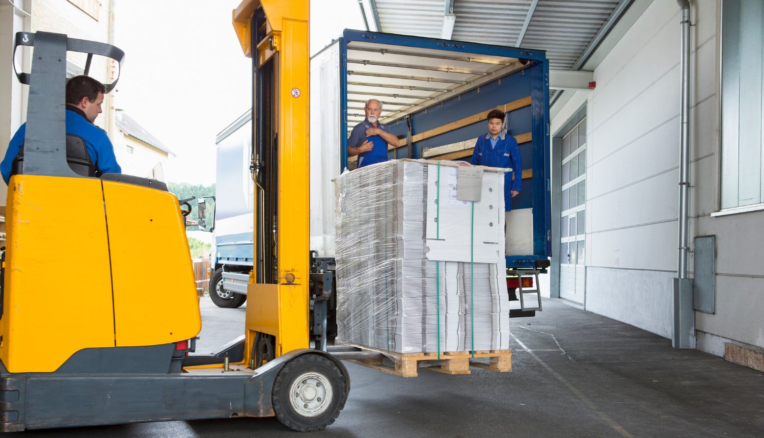 Trimova Lashing Service